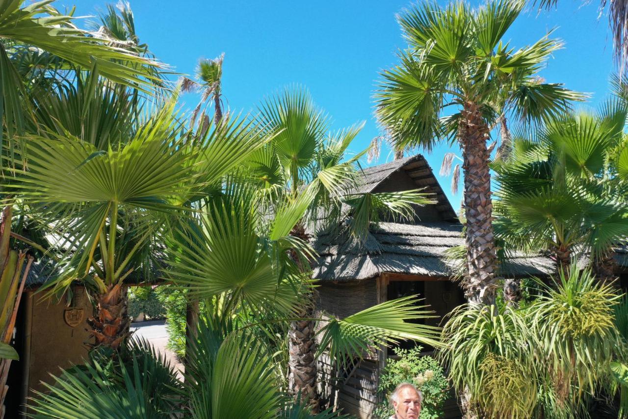 Premium Tiki Hütte mit Garten, 1 Schlafzimmer und Schlafsofa (2 Erwachsene + 2 Kinder)